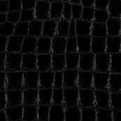 Black Crocodile Alligator Leather Embossed Texture Amazing 